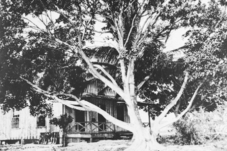 Original Woodring Homestead