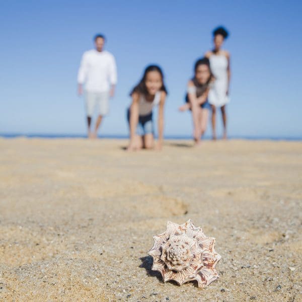 family-beach-with-seashell-foreground family-beach-with-seashell-foreground